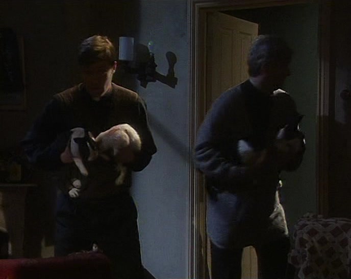 TED, THE BUNNIES ARE GONE.  