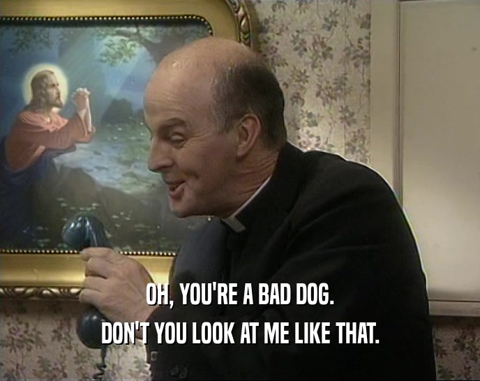 OH, YOU'RE A BAD DOG. DON'T YOU LOOK AT ME LIKE THAT. 