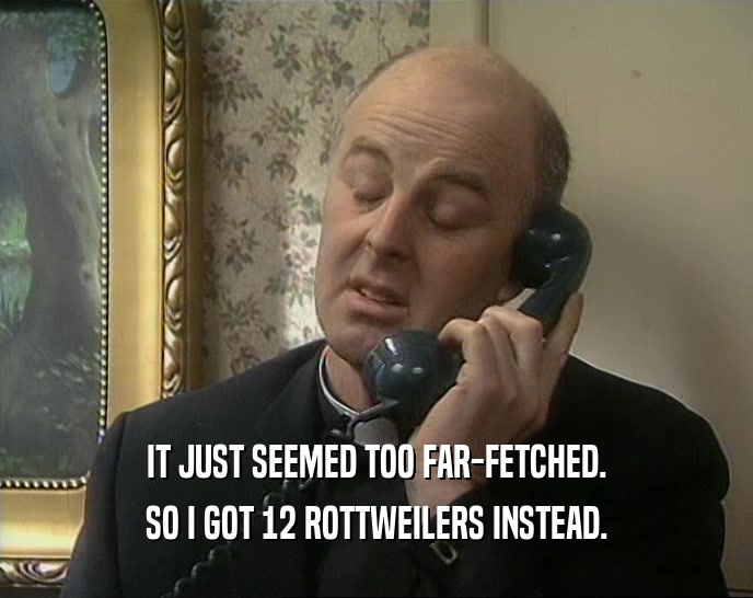 IT JUST SEEMED TOO FAR-FETCHED. SO I GOT 12 ROTTWEILERS INSTEAD. 