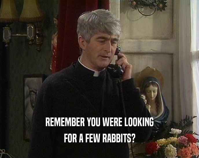 REMEMBER YOU WERE LOOKING FOR A FEW RABBITS? 