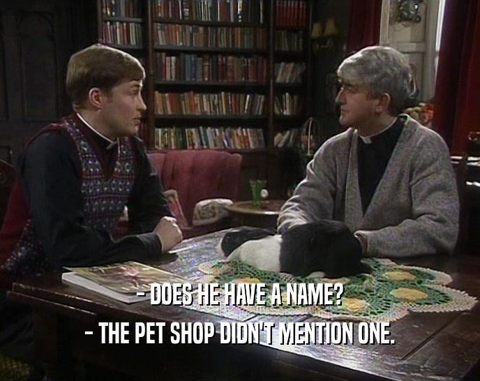 - DOES HE HAVE A NAME? - THE PET SHOP DIDN'T MENTION ONE. 