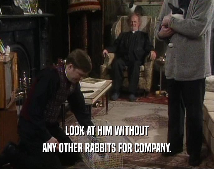 LOOK AT HIM WITHOUT ANY OTHER RABBITS FOR COMPANY. 