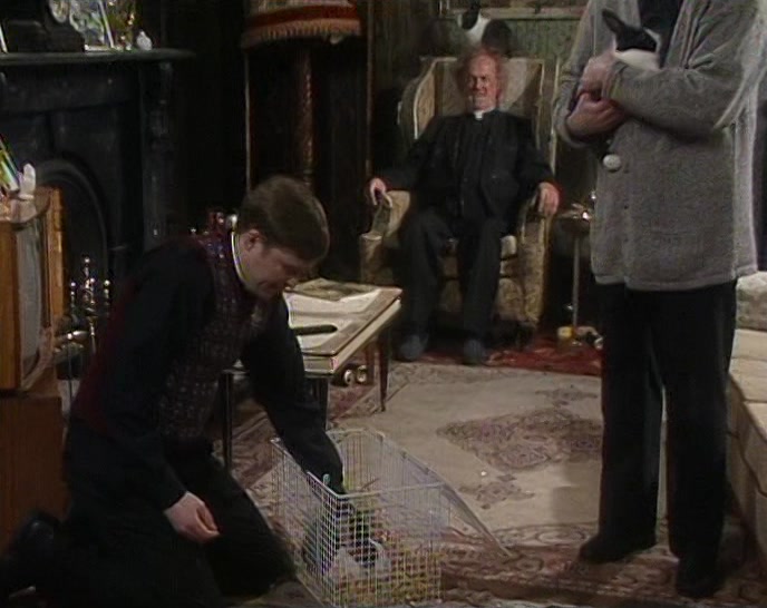 LOOK AT HIM WITHOUT ANY OTHER RABBITS FOR COMPANY. 