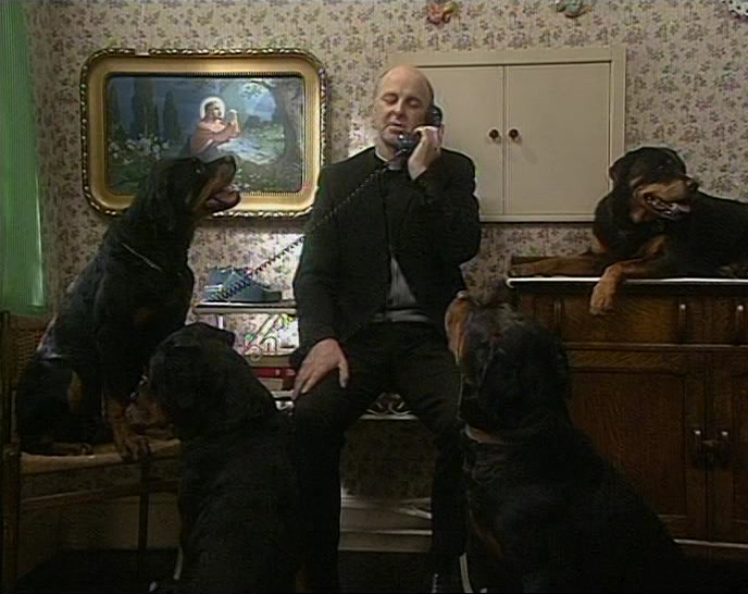 ONLY I'D BE AFRAID THE ROTTWEILERS MIGHT UPSET THEM. 