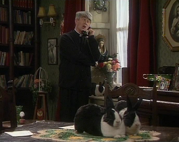 WELL, TODAY'S YOUR LUCKY DAY. WE'VE GOT LOADS OF THE THINGS! 