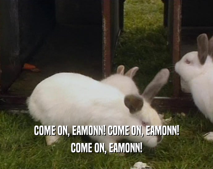 COME ON, EAMONN! COME ON, EAMONN! COME ON, EAMONN! 