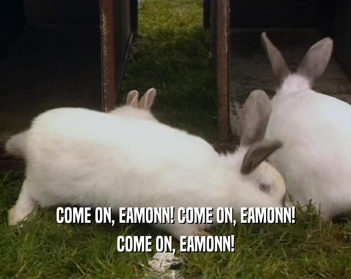 COME ON, EAMONN! COME ON, EAMONN! COME ON, EAMONN! 