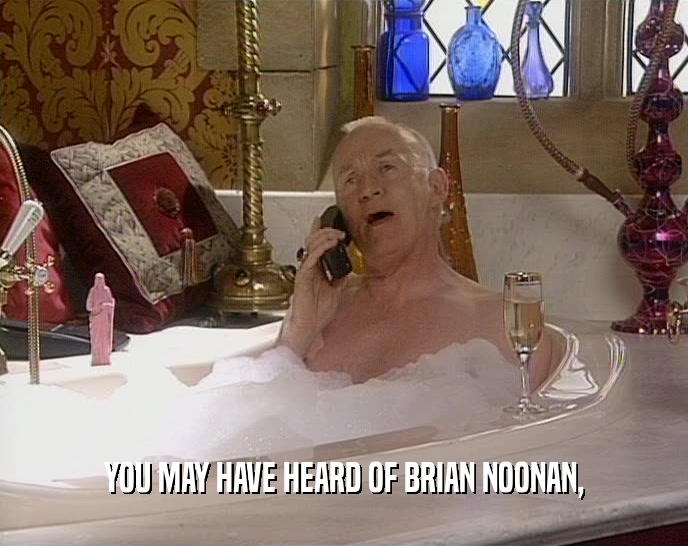 YOU MAY HAVE HEARD OF BRIAN NOONAN,
  