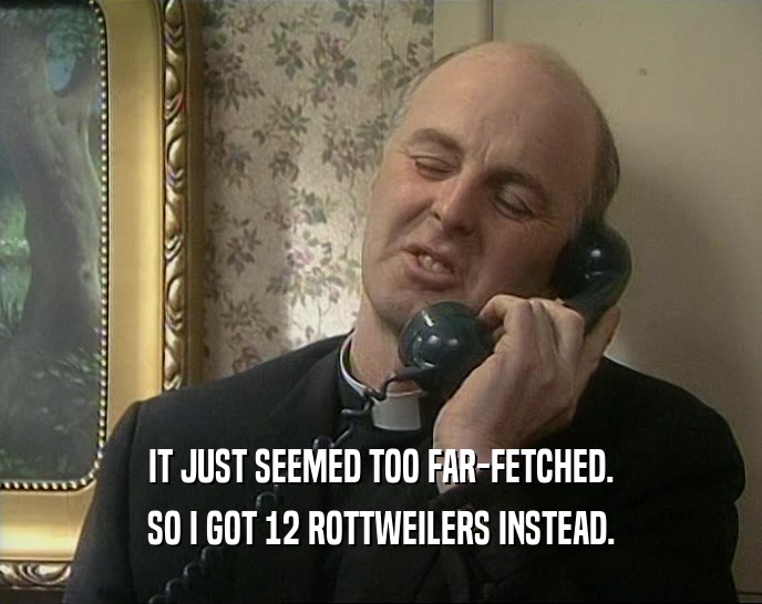 IT JUST SEEMED TOO FAR-FETCHED. SO I GOT 12 ROTTWEILERS INSTEAD. 