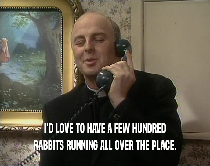 I'D LOVE TO HAVE A FEW HUNDRED RABBITS RUNNING ALL OVER THE PLACE. 
