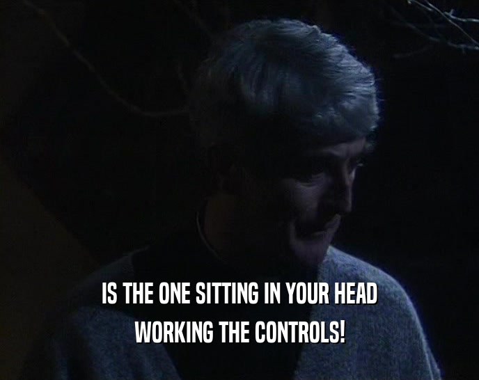 IS THE ONE SITTING IN YOUR HEAD WORKING THE CONTROLS! 