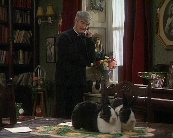WELL, TODAY'S YOUR LUCKY DAY. WE'VE GOT LOADS OF THE THINGS! 