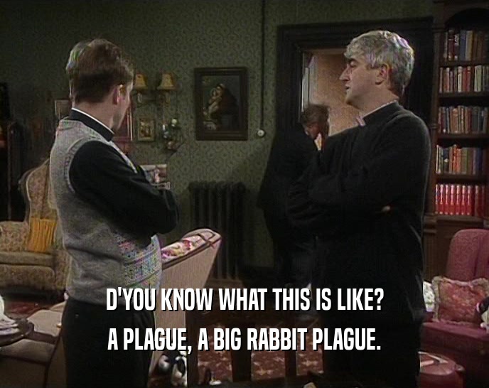 D'YOU KNOW WHAT THIS IS LIKE? A PLAGUE, A BIG RABBIT PLAGUE. 