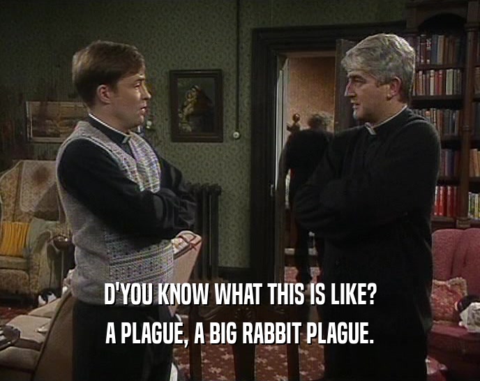 D'YOU KNOW WHAT THIS IS LIKE?
 A PLAGUE, A BIG RABBIT PLAGUE.
 