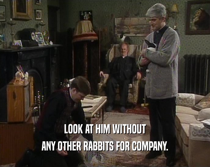 LOOK AT HIM WITHOUT ANY OTHER RABBITS FOR COMPANY. 