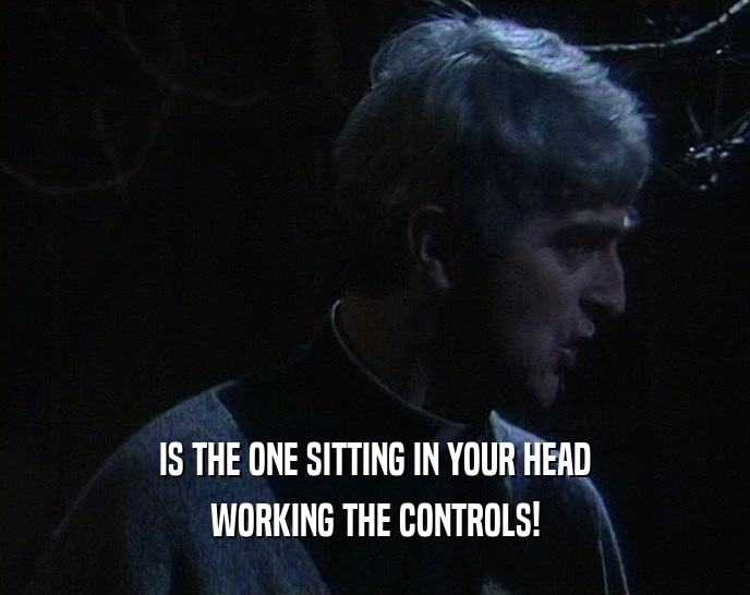 IS THE ONE SITTING IN YOUR HEAD WORKING THE CONTROLS! 