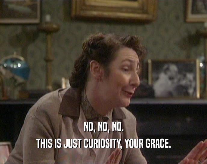 NO, NO, NO. THIS IS JUST CURIOSITY, YOUR GRACE. 