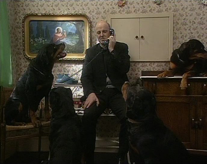 ONLY I'D BE AFRAID THE ROTTWEILERS MIGHT UPSET THEM. 