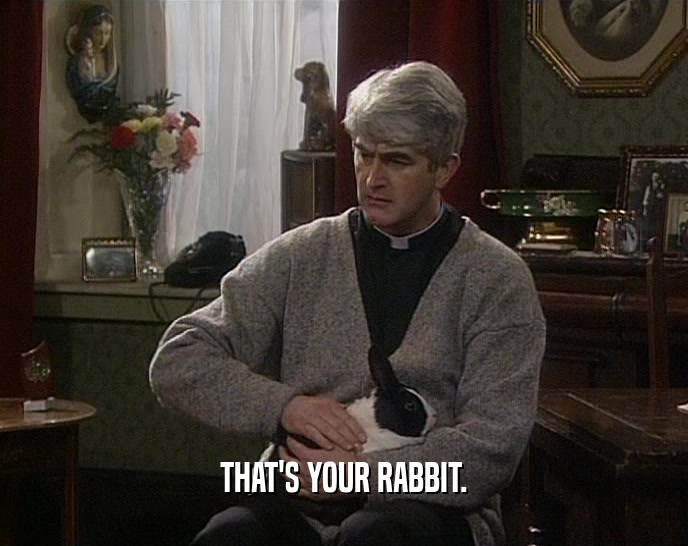 THAT'S YOUR RABBIT.  