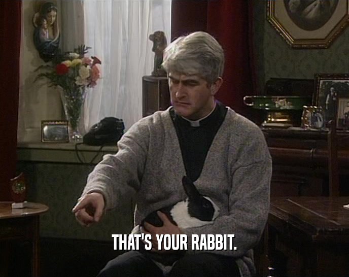 THAT'S YOUR RABBIT.  