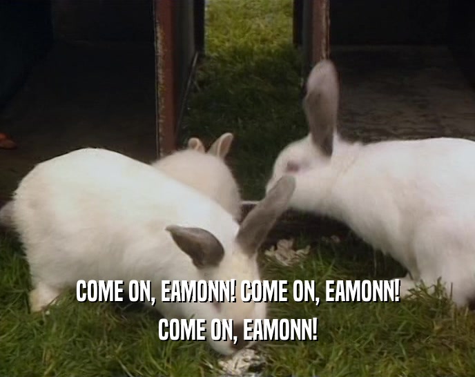 COME ON, EAMONN! COME ON, EAMONN! COME ON, EAMONN! 
