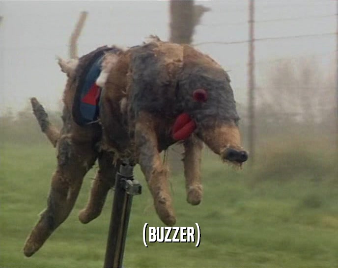 (BUZZER)  