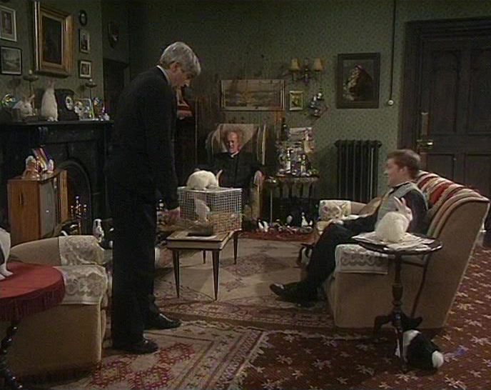 GOD, IT'S LIKE A BIG RABBIT ROCK FESTIVAL. 