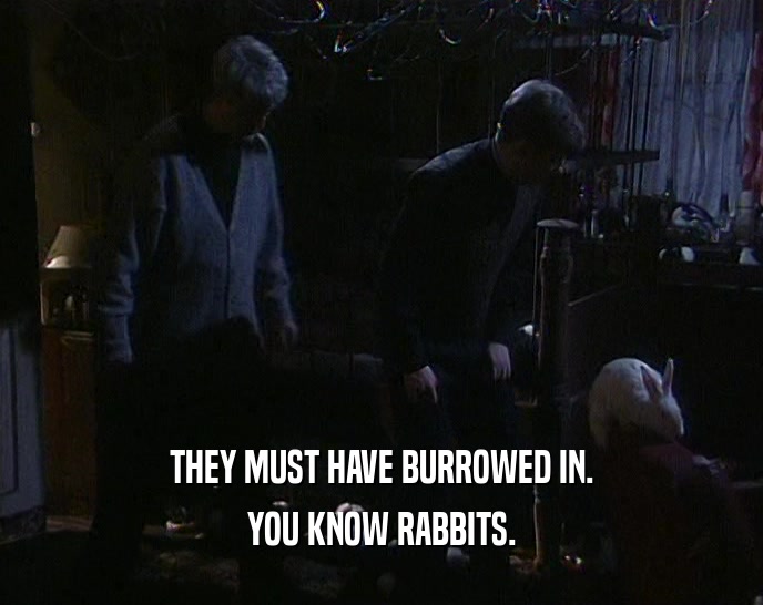 THEY MUST HAVE BURROWED IN. YOU KNOW RABBITS. 