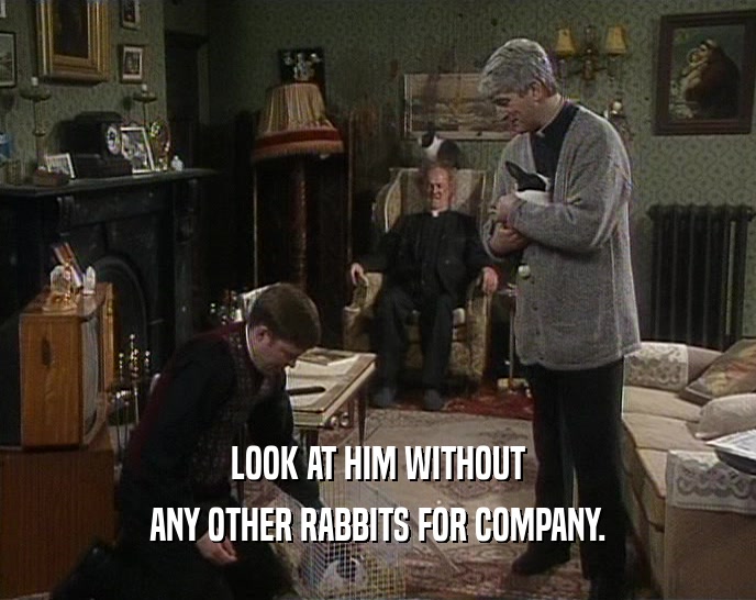 LOOK AT HIM WITHOUT ANY OTHER RABBITS FOR COMPANY. 