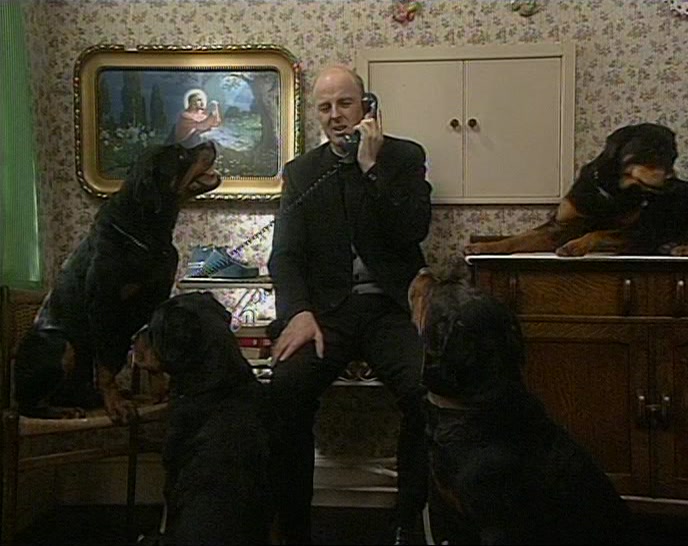 ONLY I'D BE AFRAID THE ROTTWEILERS MIGHT UPSET THEM. 