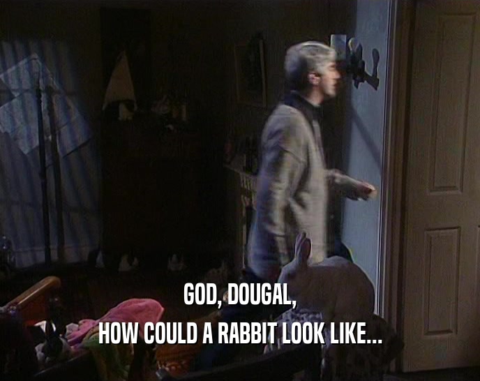 GOD, DOUGAL,
 HOW COULD A RABBIT LOOK LIKE...
 