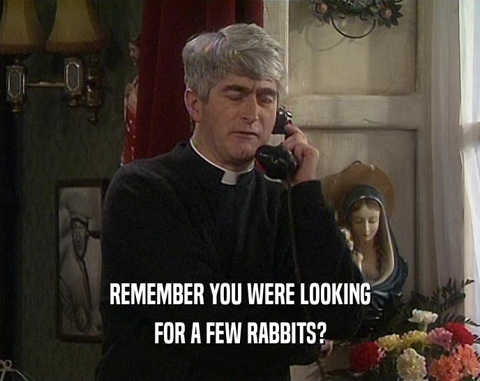 REMEMBER YOU WERE LOOKING FOR A FEW RABBITS? 
