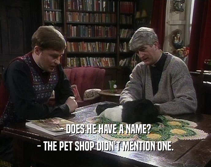- DOES HE HAVE A NAME? - THE PET SHOP DIDN'T MENTION ONE. 