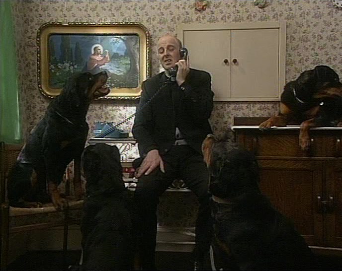 ONLY I'D BE AFRAID THE ROTTWEILERS MIGHT UPSET THEM. 