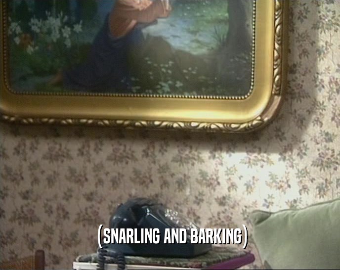 (SNARLING AND BARKING)  
