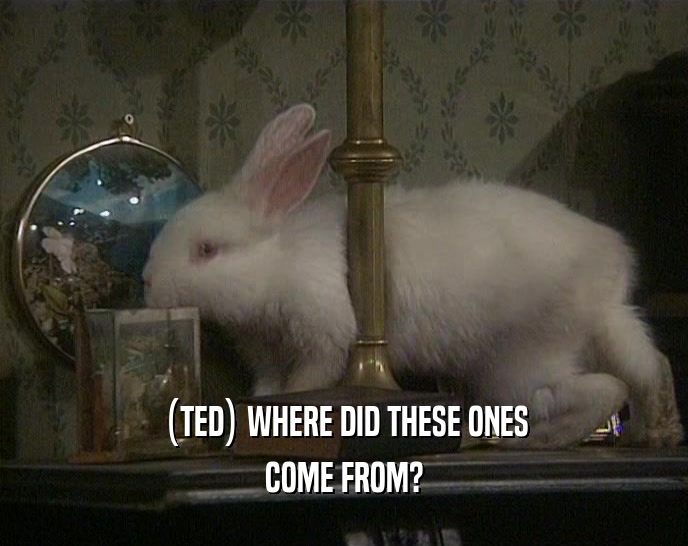 (TED) WHERE DID THESE ONES COME FROM? 