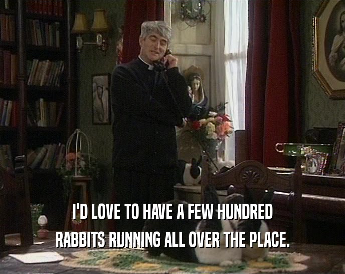 I'D LOVE TO HAVE A FEW HUNDRED RABBITS RUNNING ALL OVER THE PLACE. 