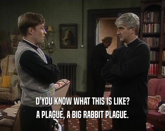 D'YOU KNOW WHAT THIS IS LIKE? A PLAGUE, A BIG RABBIT PLAGUE. 