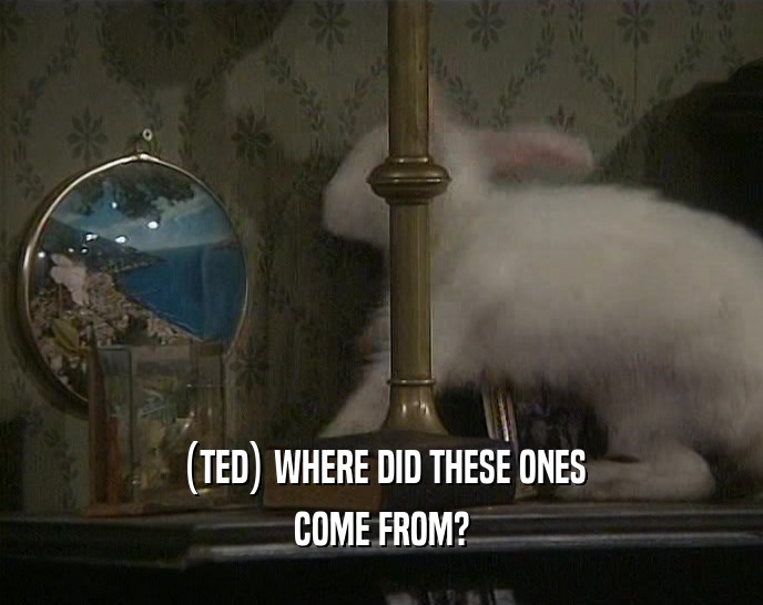 (TED) WHERE DID THESE ONES COME FROM? 