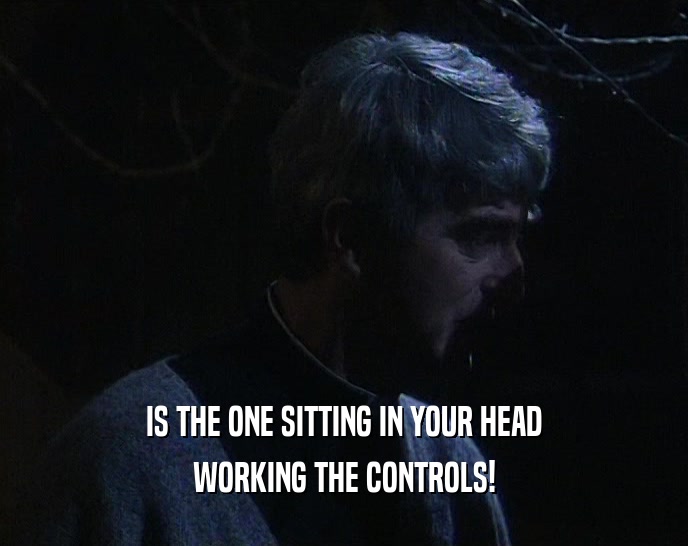 IS THE ONE SITTING IN YOUR HEAD WORKING THE CONTROLS! 