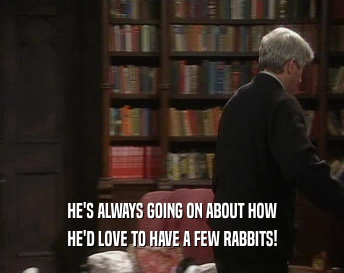 HE'S ALWAYS GOING ON ABOUT HOW HE'D LOVE TO HAVE A FEW RABBITS! 