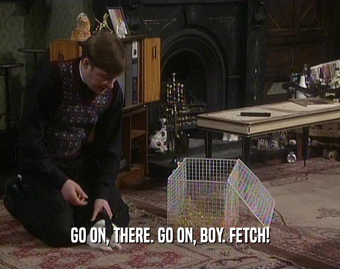 GO ON, THERE. GO ON, BOY. FETCH!  