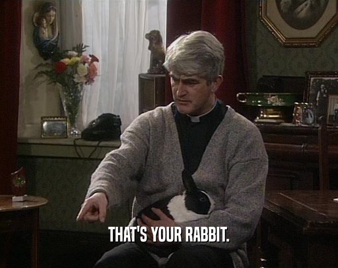 THAT'S YOUR RABBIT.  