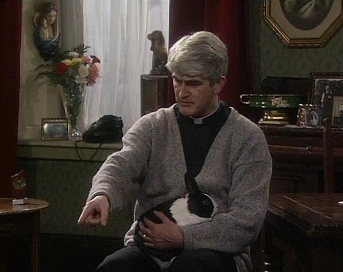 THAT'S YOUR RABBIT.  