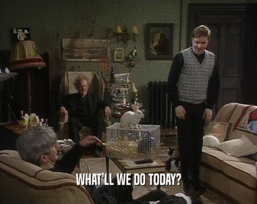 WHAT'LL WE DO TODAY?  