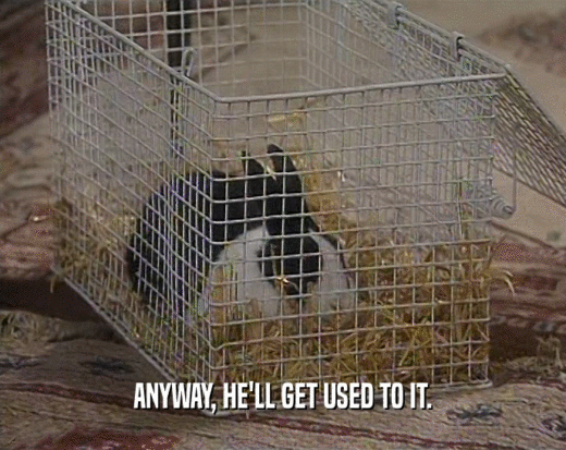 ANYWAY, HE'LL GET USED TO IT.  