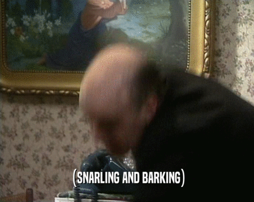 (SNARLING AND BARKING)  