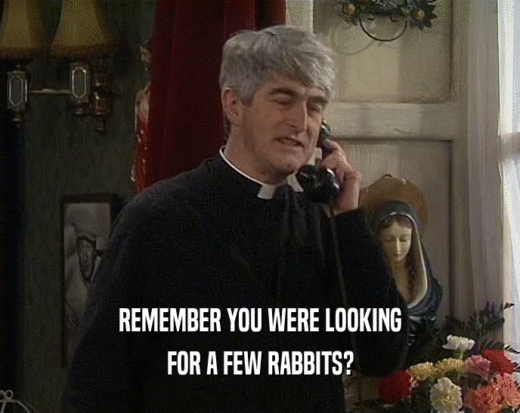 REMEMBER YOU WERE LOOKING FOR A FEW RABBITS? 