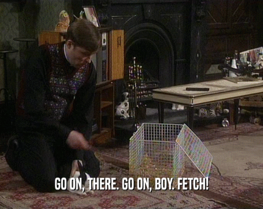 GO ON, THERE. GO ON, BOY. FETCH!
  