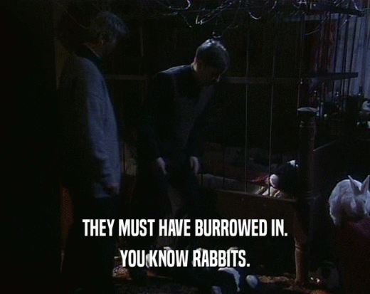THEY MUST HAVE BURROWED IN. YOU KNOW RABBITS. 